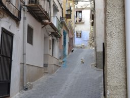 Castillo y ciudad de Blanca 2013
